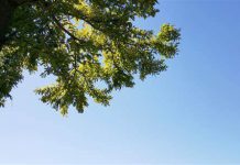 강북구, 번2동 마을활력소 ‘하늘숲속’ 개소