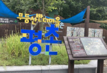 가을밤 반딧불이 보고 싶다면 ‘무등산 평촌명품마을’로!