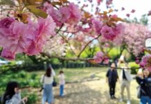반값 KTX, 3만 원 템플스테이…여행가는 봄 매달 혜택이 쏟아진다