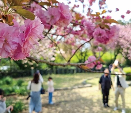 반값 KTX, 3만 원 템플스테이…여행가는 봄 매달 혜택이 쏟아진다