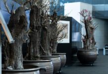 설 연휴 어디 갈까…가볼 만한 공연·전시·축제 문화 나들이