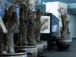 설 연휴 어디 갈까…가볼 만한 공연·전시·축제 문화 나들이