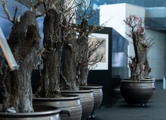 설 연휴 어디 갈까…가볼 만한 공연·전시·축제 문화 나들이