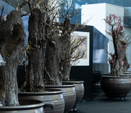 설 연휴 어디 갈까…가볼 만한 공연·전시·축제 문화 나들이